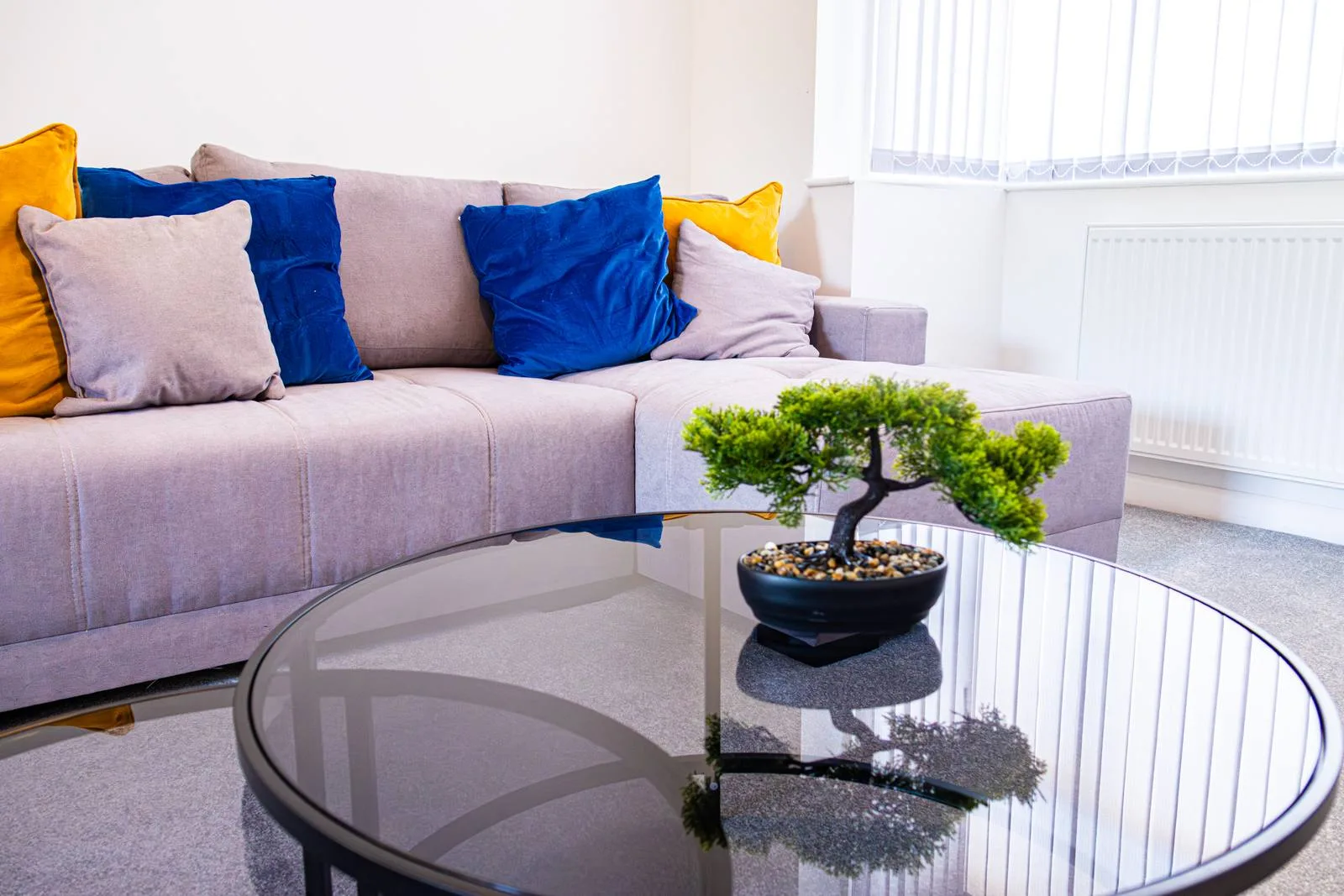 Sullivan Heights Coventry — living room with warm natural light