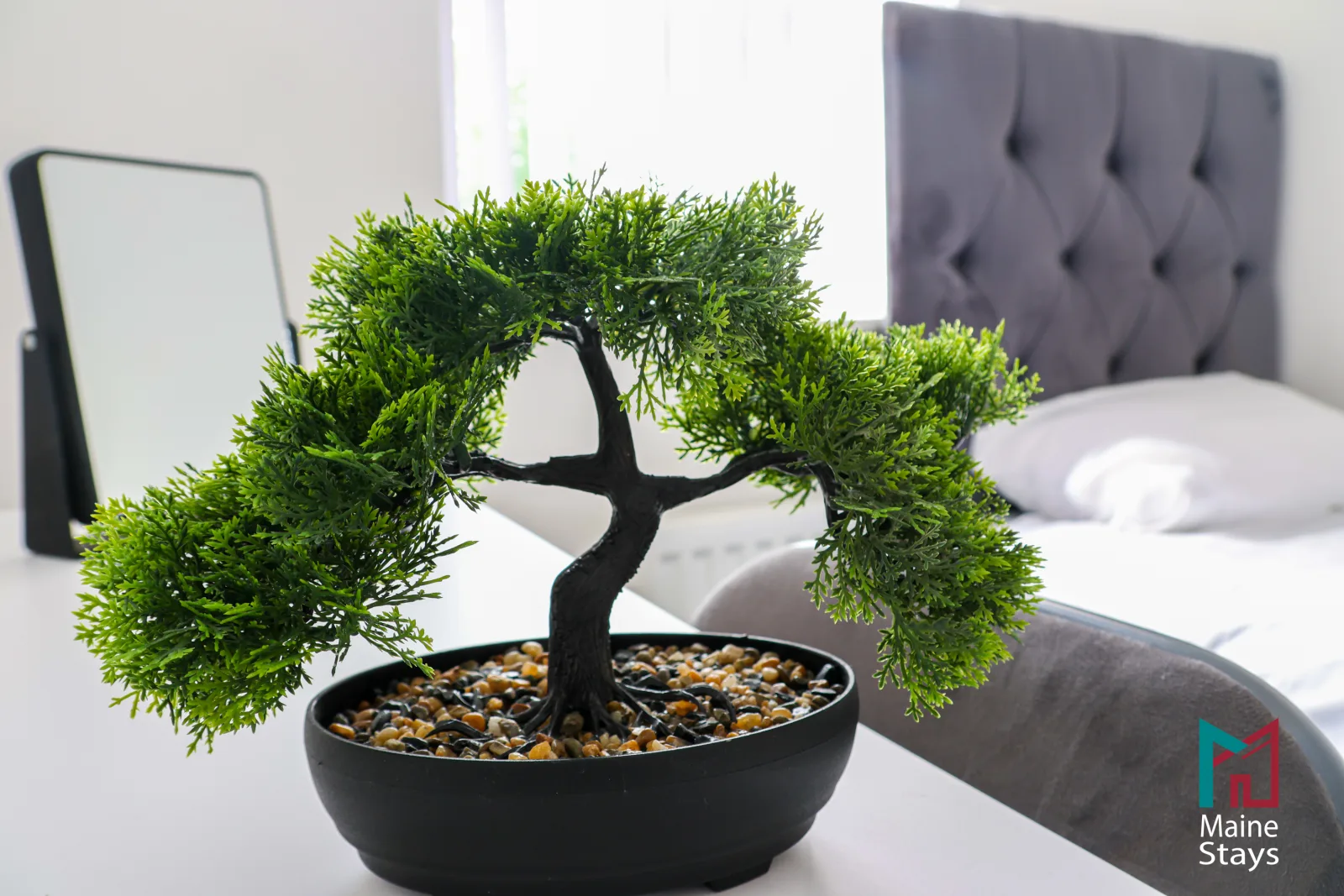 Humber Hub Coventry - Bedroom 1: bedroom1 bonsai plant
