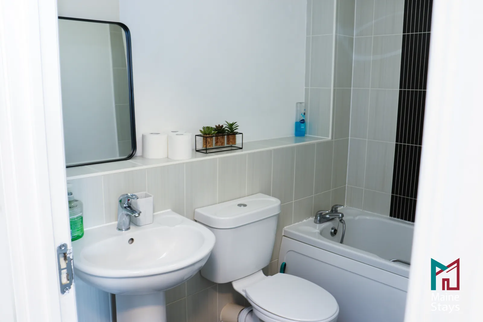 Humber Hub Coventry - Family bathroom: family bathroom overview